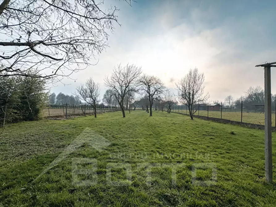 Immagine 44 di Casa indipendente in vendita  in via piana n 34 suno a Suno