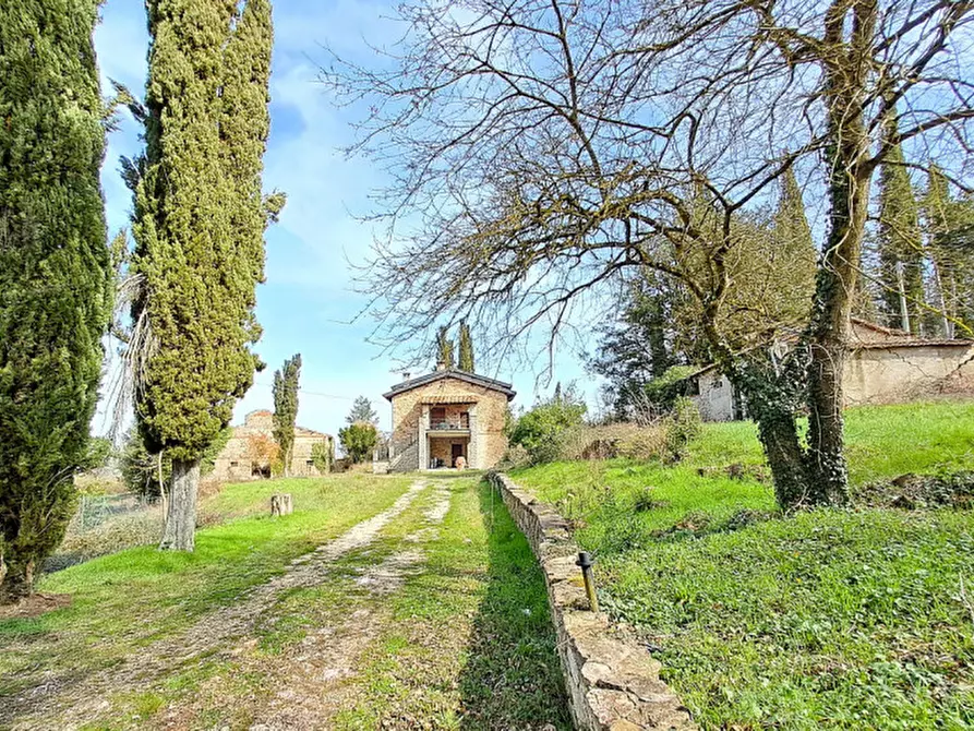 Immagine 4 di Rustico / casale in vendita  a Lisciano Niccone