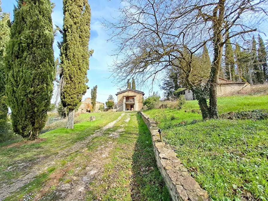 Immagine 39 di Rustico / casale in vendita  a Lisciano Niccone