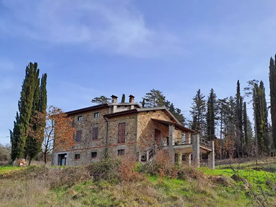 Immagine 41 di Rustico / casale in vendita  a Lisciano Niccone