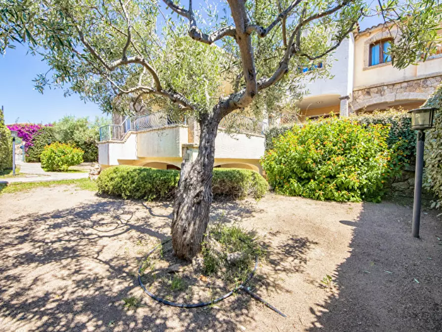 Immagine 4 di Villetta a schiera in vendita  in Via Mar Ligure a Olbia