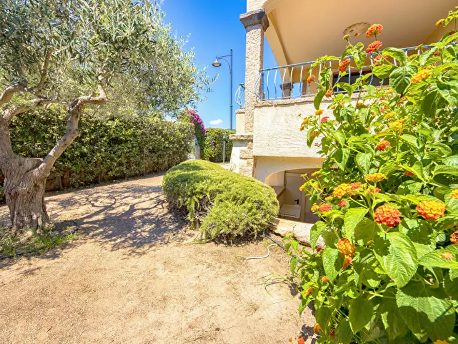 Immagine 26 di Villetta a schiera in vendita  in Via Mar Ligure a Olbia