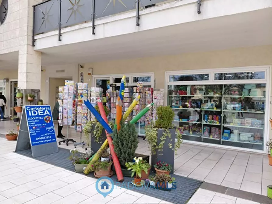 Immagine 1 di Attività commerciale in vendita  in Via Antonio Gramsci 5 a Cadoneghe