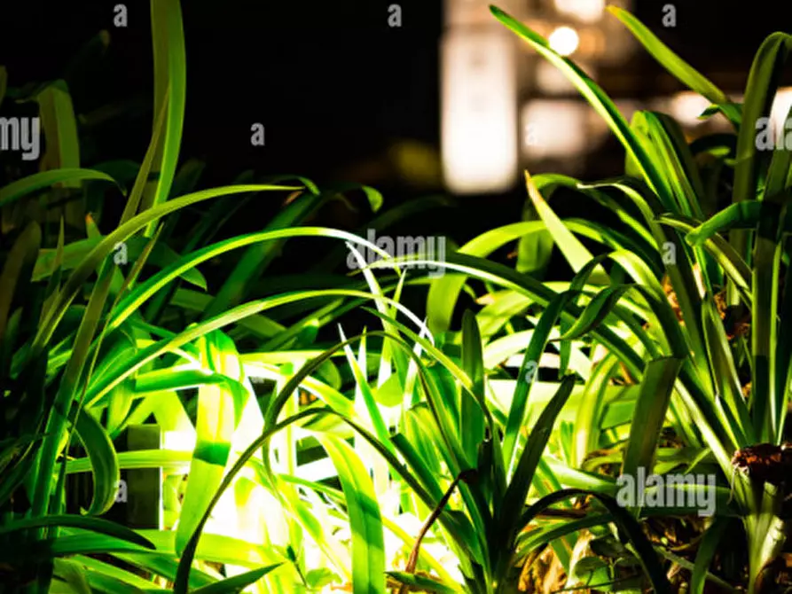 Immagine 1 di Appartamento in vendita  in Via Enrico Toti a Campodarsego