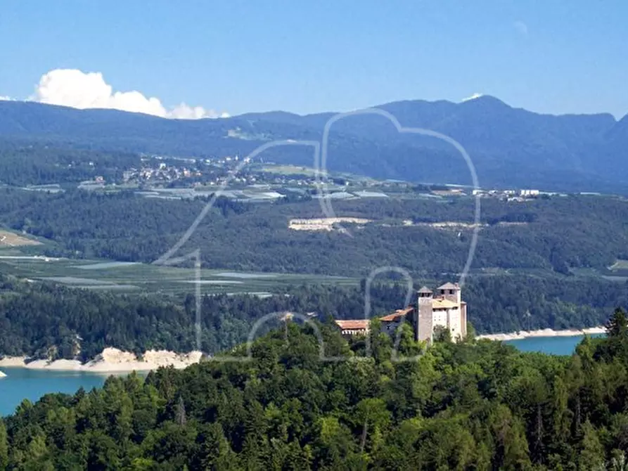 Immagine 2 di Attività commerciale in vendita  in Piazza di Cles a Cles