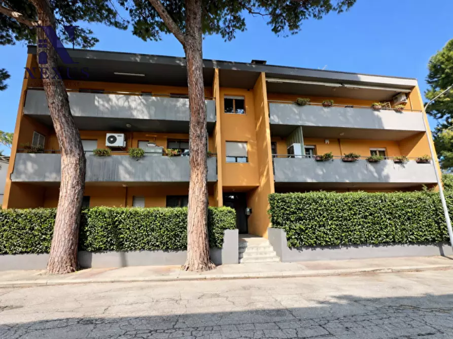 Immagine 31 di Appartamento in vendita  in Via Capri a Senigallia