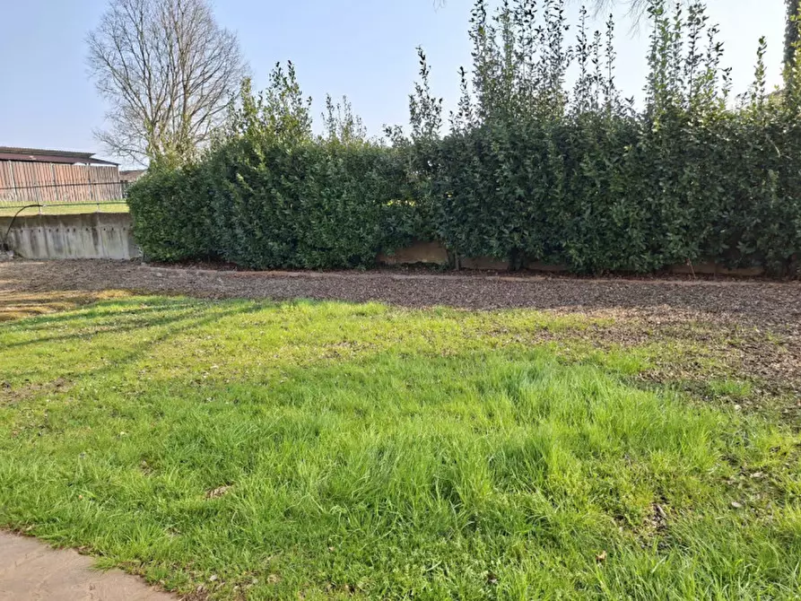 Immagine 5 di Appartamento in vendita  a Volta Mantovana