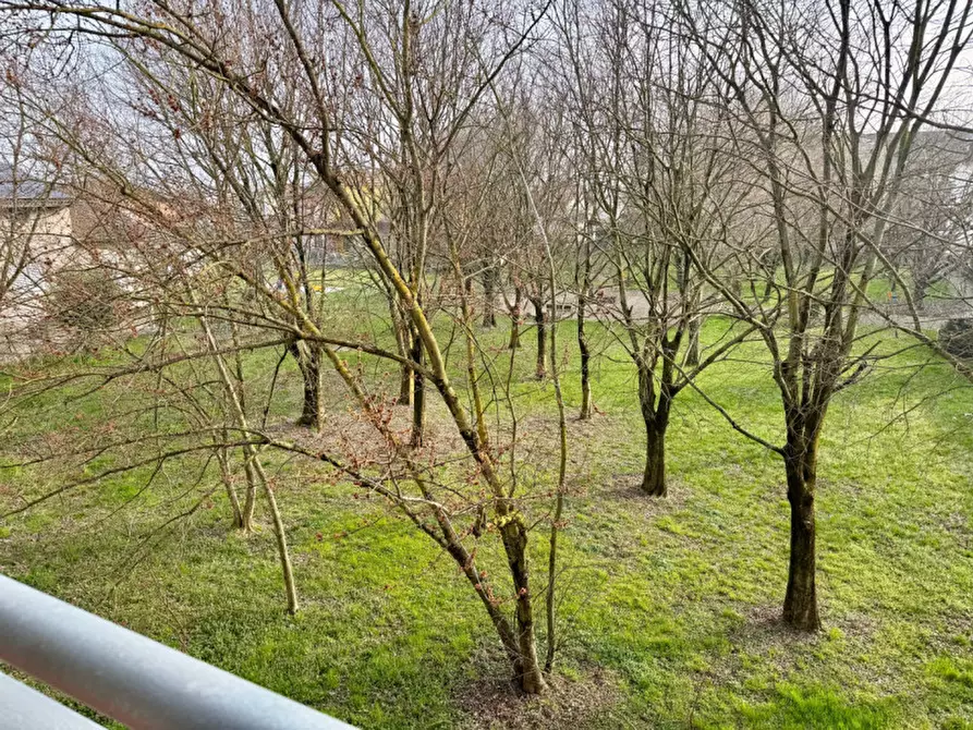 Immagine 18 di Appartamento in vendita  in via piemonte 5 a San Secondo Parmense