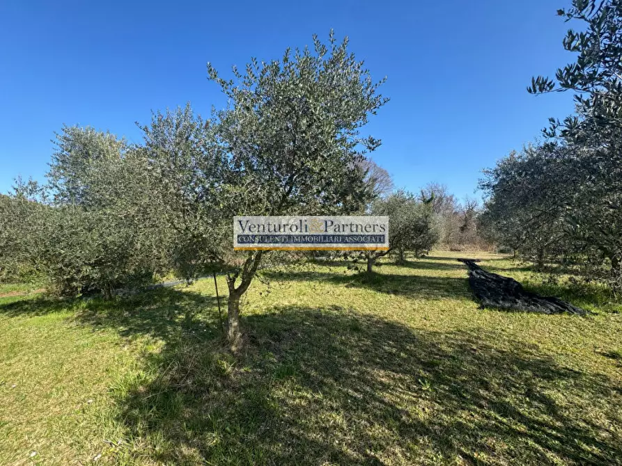 Immagine 2 di Terreno in vendita  in Via Chiesa a Calvagese Della Riviera