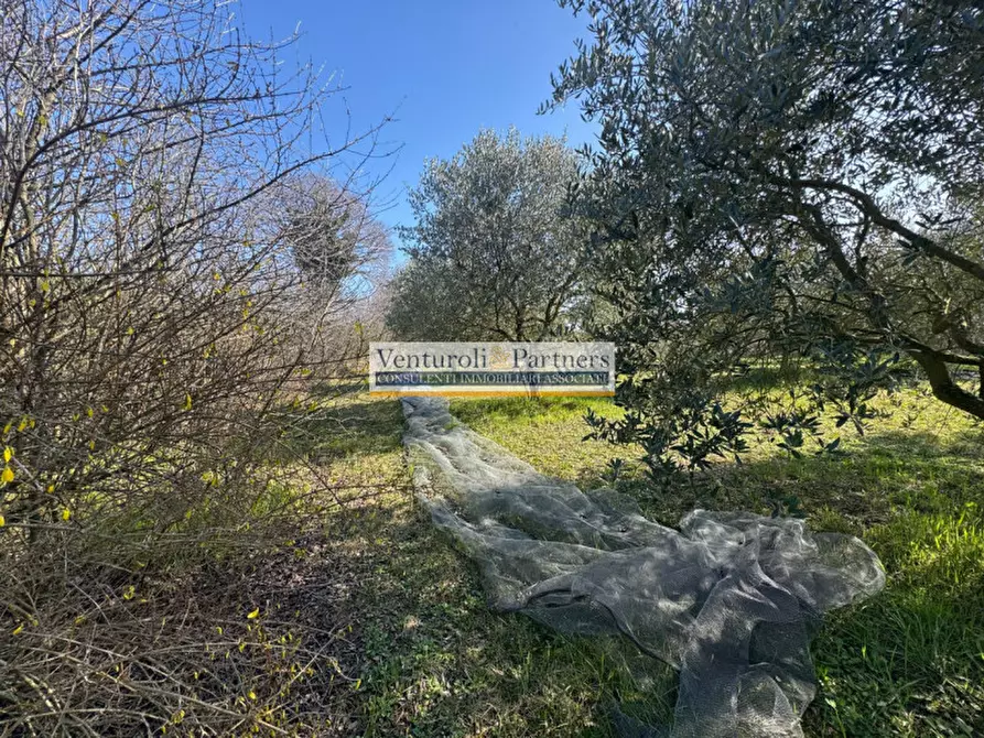 Immagine 3 di Terreno in vendita  in Via Chiesa a Calvagese Della Riviera