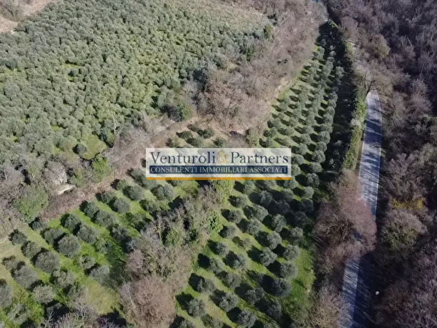 Immagine 4 di Terreno in vendita  in Via Chiesa a Calvagese Della Riviera