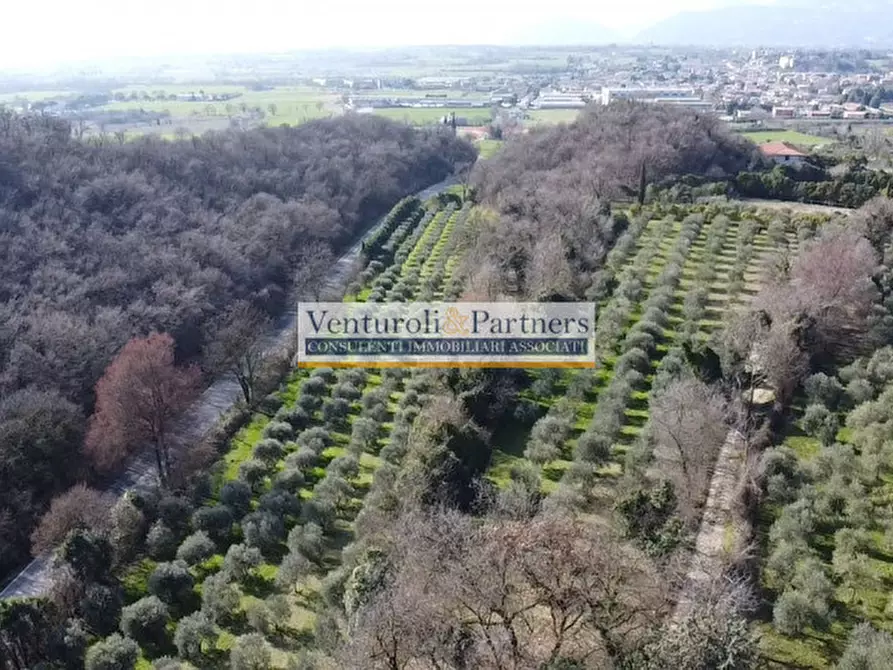 Immagine 7 di Terreno in vendita  in Via Chiesa a Calvagese Della Riviera