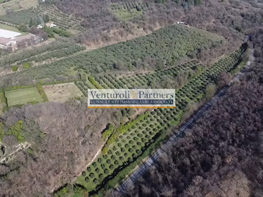 Immagine 9 di Terreno in vendita  in Via Chiesa a Calvagese Della Riviera