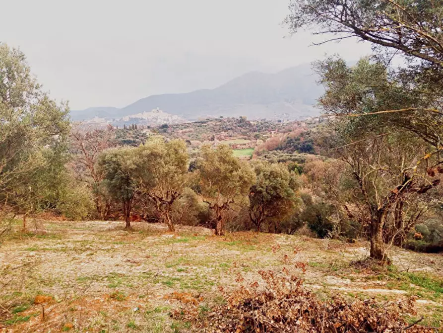 Immagine 1 di Terreno in vendita  in Loc.tà Colle Marocco a Palombara Sabina