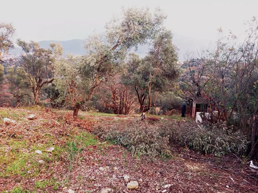 Immagine 4 di Terreno in vendita  in Loc.tà Colle Marocco a Palombara Sabina