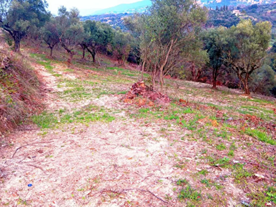 Immagine 6 di Terreno in vendita  in Loc.tà Colle Marocco a Palombara Sabina