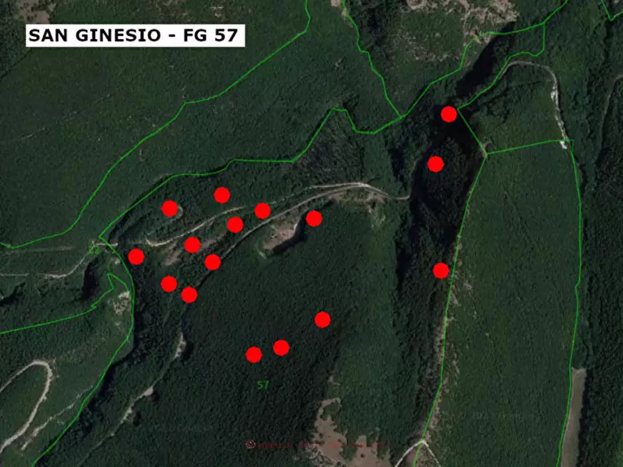 Immagine 2 di Terreno in vendita  in San Ginesio, N. snc a San Ginesio