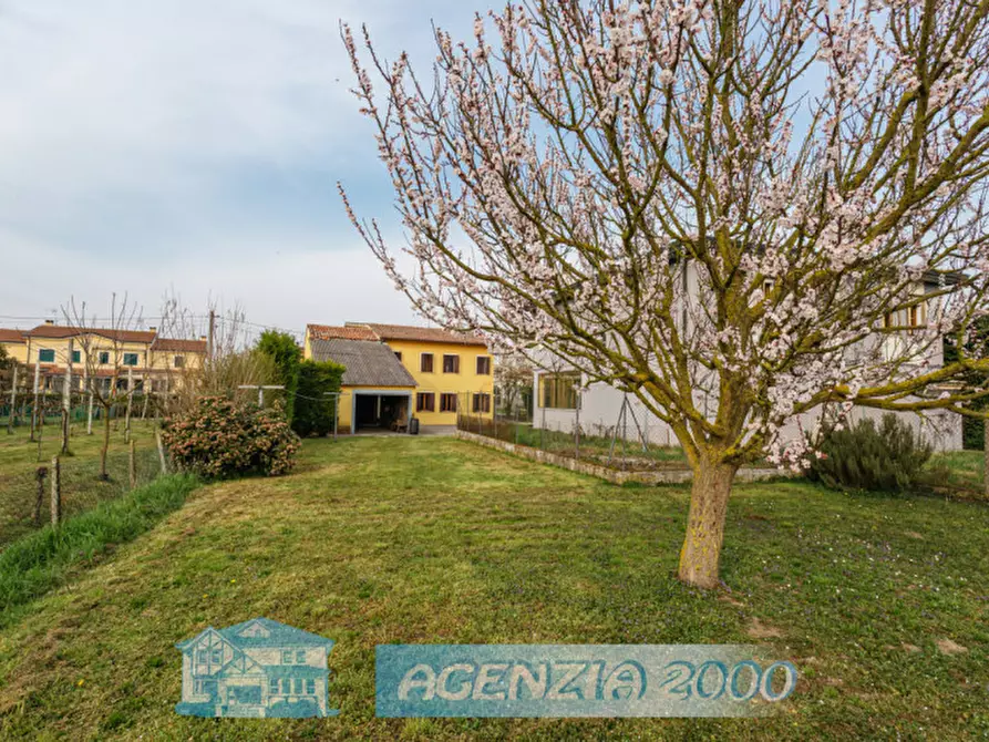 Immagine 58 di Casa indipendente in vendita  in Via Cappelline 68 a Terrassa Padovana