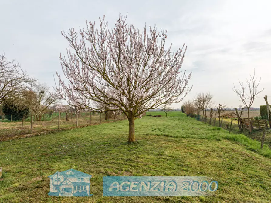 Immagine 61 di Casa indipendente in vendita  in Via Cappelline 68 a Terrassa Padovana