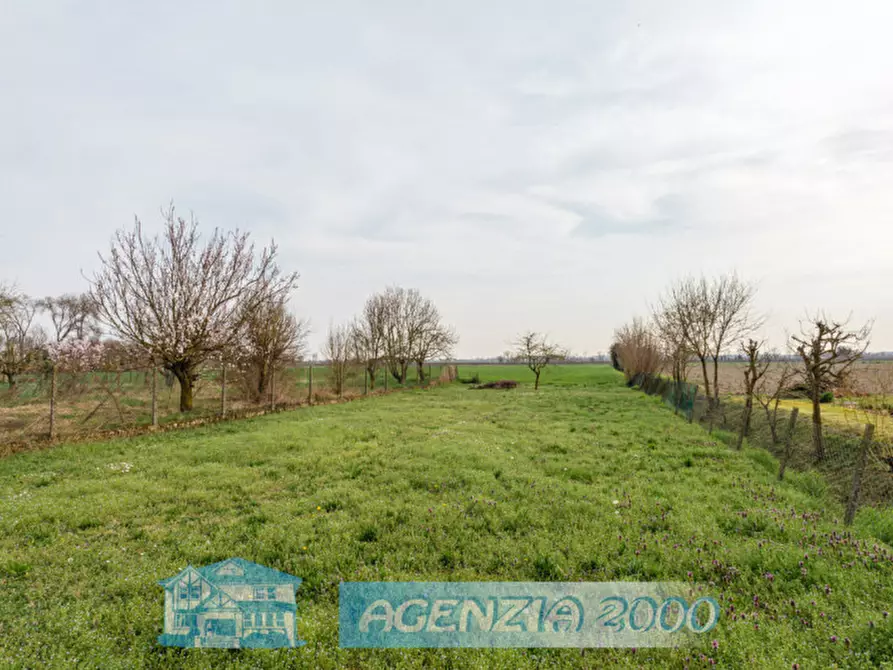 Immagine 62 di Casa indipendente in vendita  in Via Cappelline 68 a Terrassa Padovana