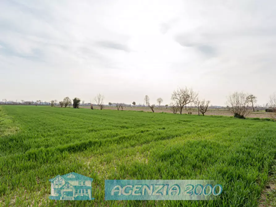 Immagine 64 di Casa indipendente in vendita  in Via Cappelline 68 a Terrassa Padovana