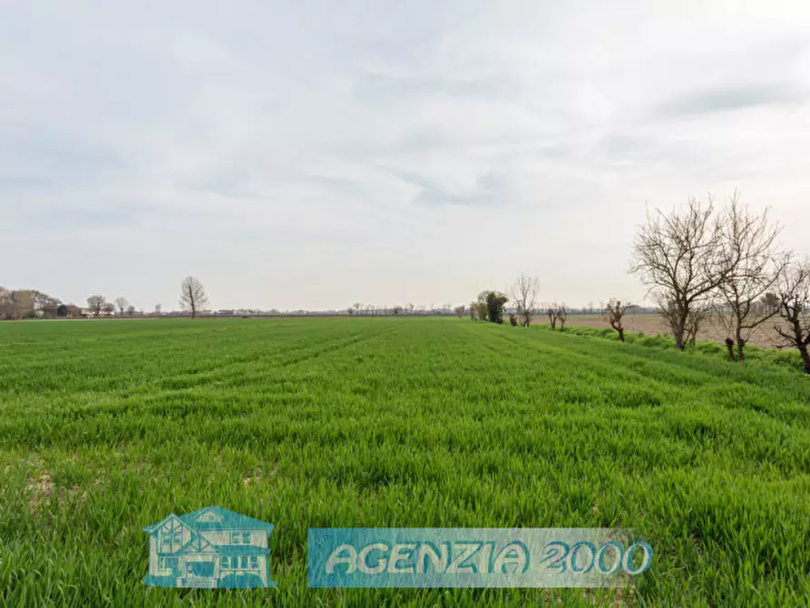Immagine 65 di Casa indipendente in vendita  in Via Cappelline 68 a Terrassa Padovana