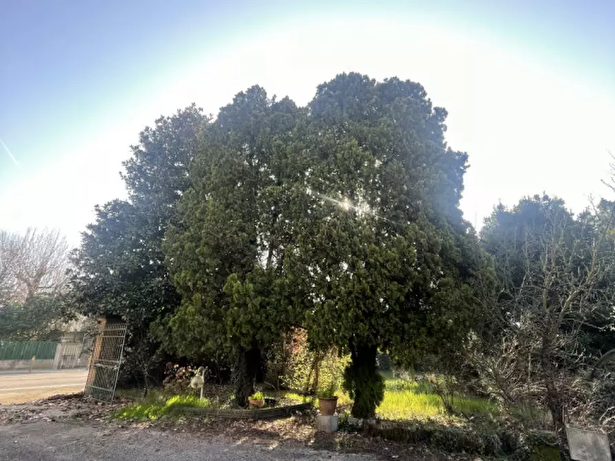 Immagine 6 di Rustico / casale in vendita  in Strada Sant'Antonino a Vicenza