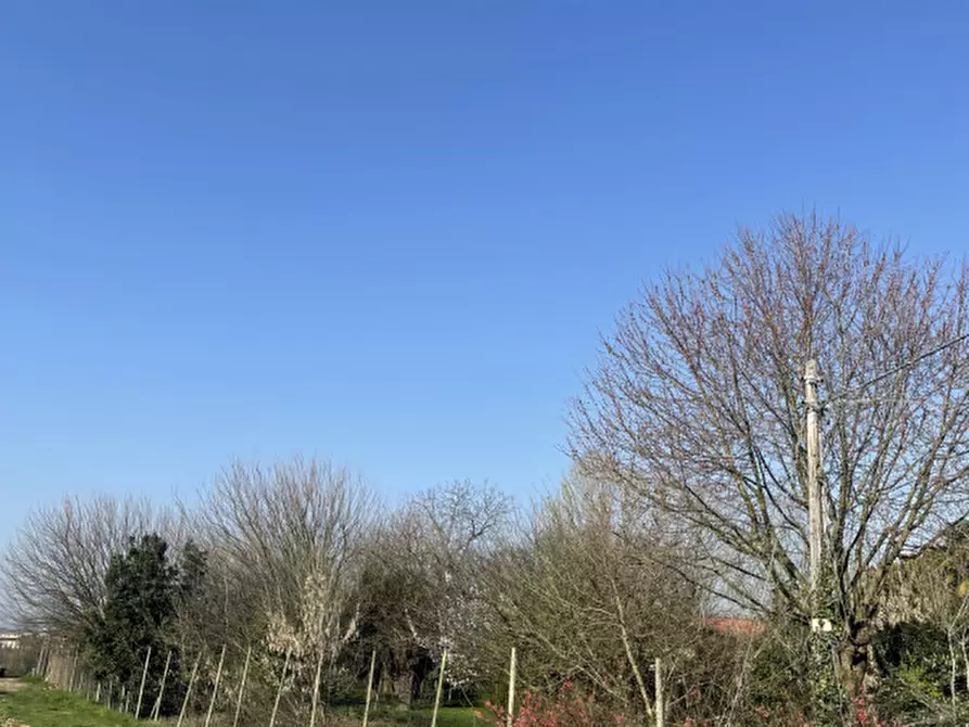 Immagine 7 di Rustico / casale in vendita  in Strada Sant'Antonino a Vicenza