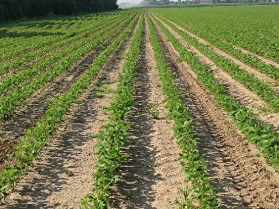 Immagine 1 di Terreno in vendita  a Padova