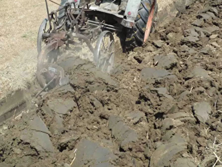 Immagine 3 di Terreno in vendita  a Padova