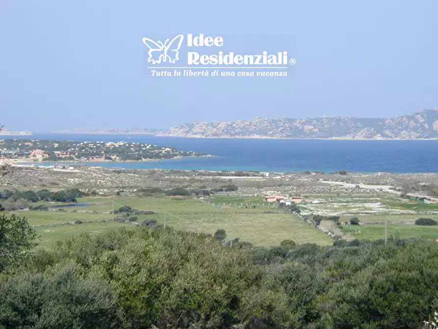 Immagine 1 di Appartamento in vendita  in via mannoni barrabisa a Palau