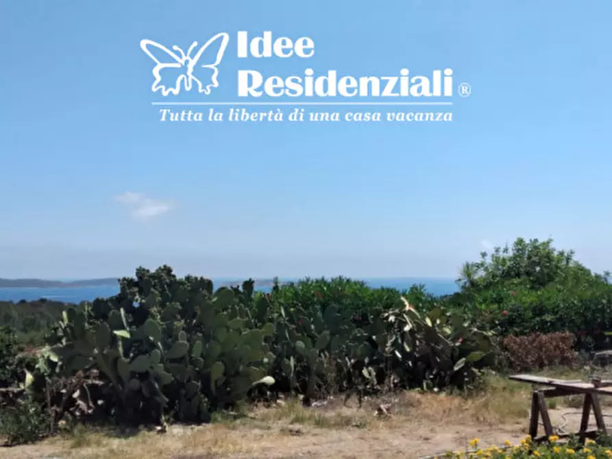 Immagine 13 di Villa in vendita  in porto mannu a Palau