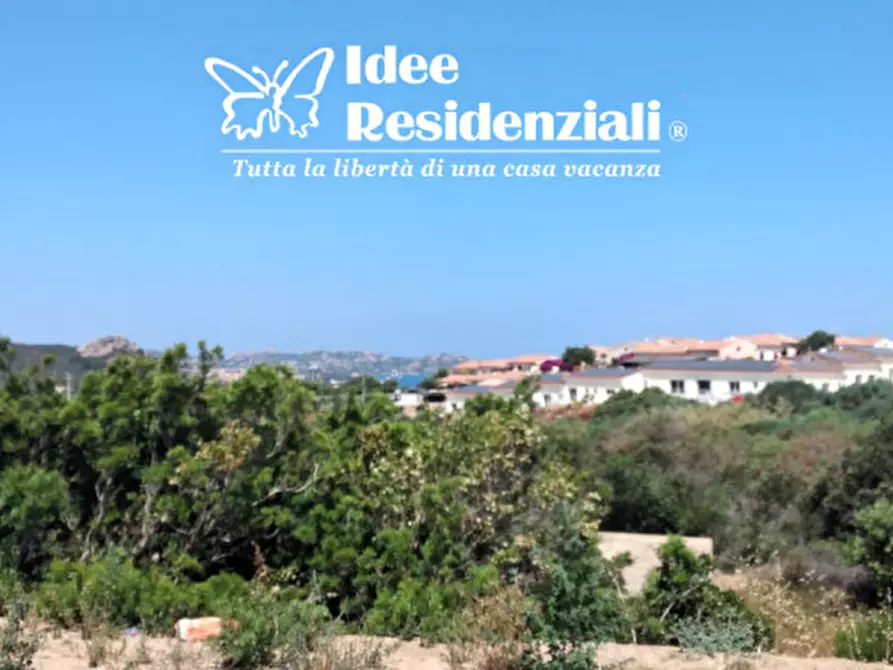 Immagine 14 di Villa in vendita  in porto mannu a Palau