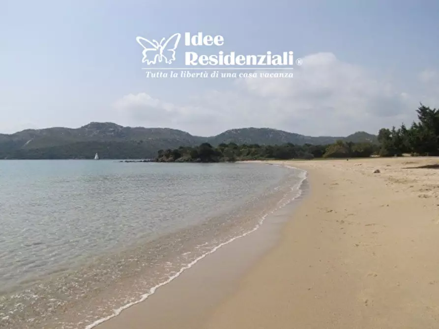 Immagine 16 di Villa in vendita  in porto mannu a Palau