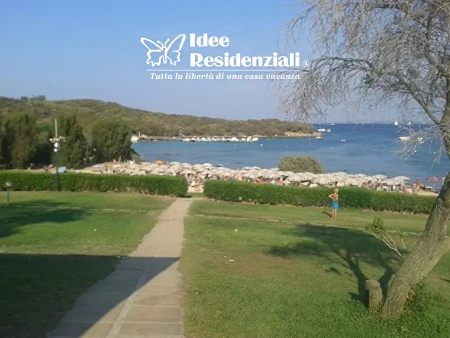 Immagine 17 di Villa in vendita  in porto mannu a Palau