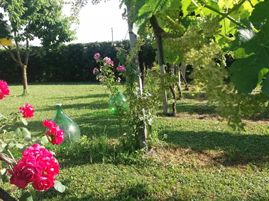 mansarda in vendita a Camponogara in zona Prozzolo