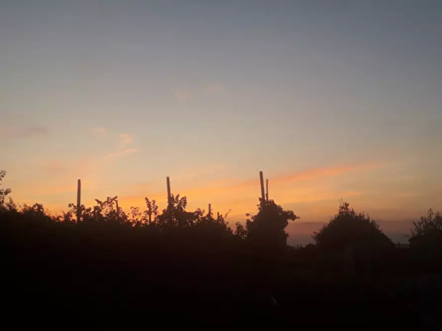 Immagine 5 di Terreno in vendita  a Camponogara