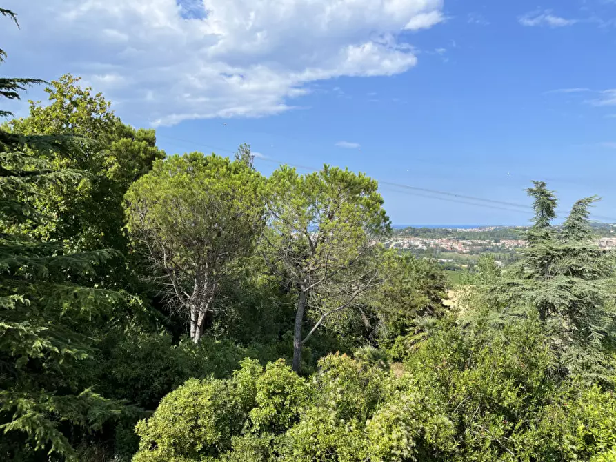 Immagine 2 di Terreno in vendita  a Ancona