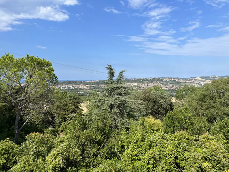 Immagine 3 di Terreno in vendita  a Ancona