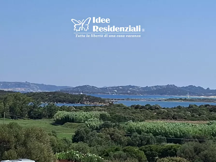 Immagine 9 di Villa in vendita  in via leone porto pozzo a Santa Teresa Gallura