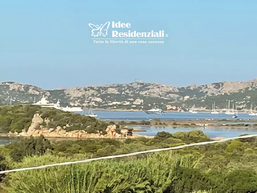 Immagine 8 di Villa in vendita  in porto pozzo a Santa Teresa Gallura