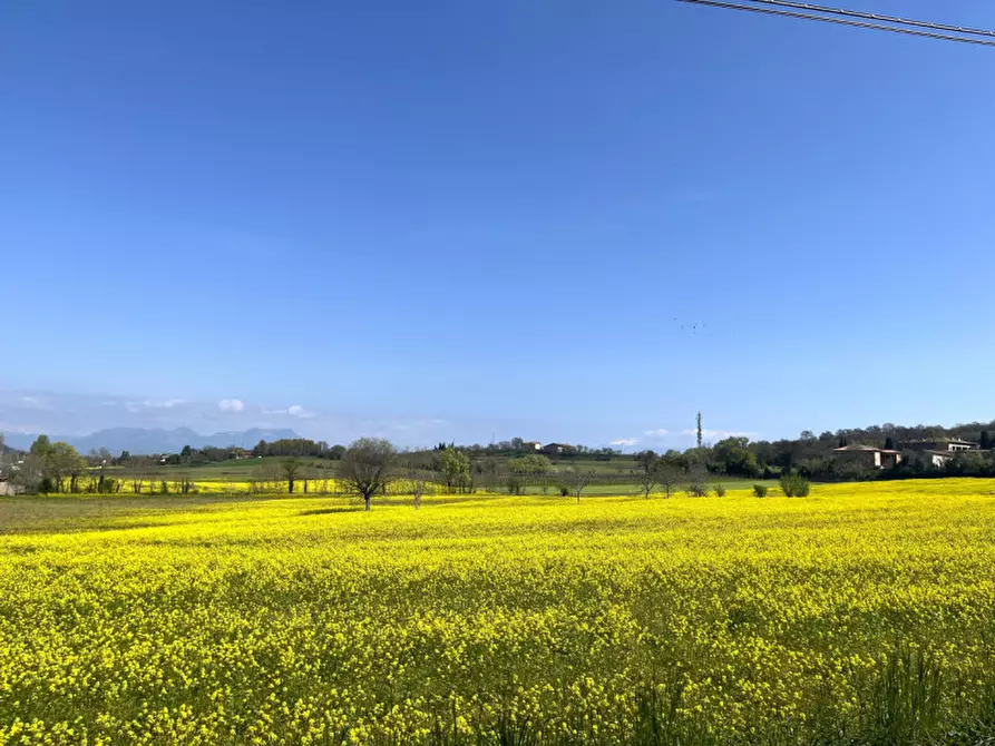 Immagine 33 di Villetta a schiera in vendita  in Via Ettore Andreis a Desenzano Del Garda