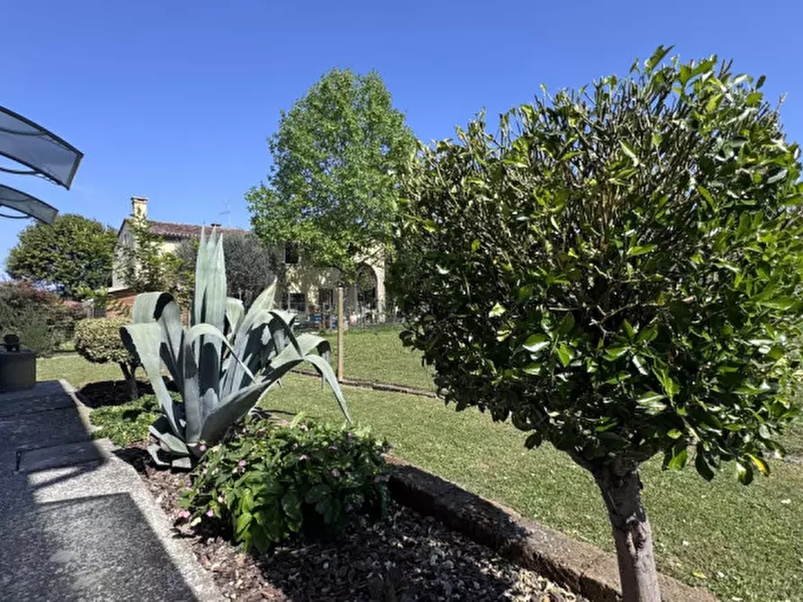 Immagine 5 di Casa indipendente in vendita  a Villa Estense