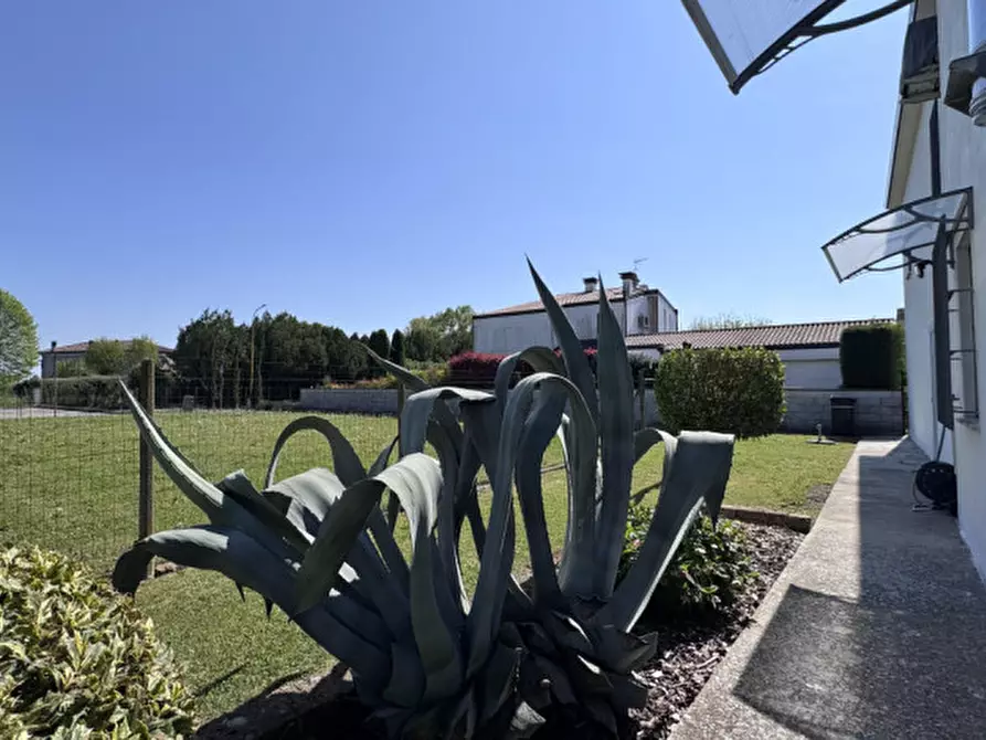 Immagine 6 di Casa indipendente in vendita  a Villa Estense