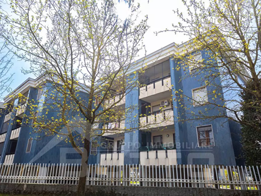 Immagine 6 di Appartamento in vendita  in Via Pascal n.12 a Novara