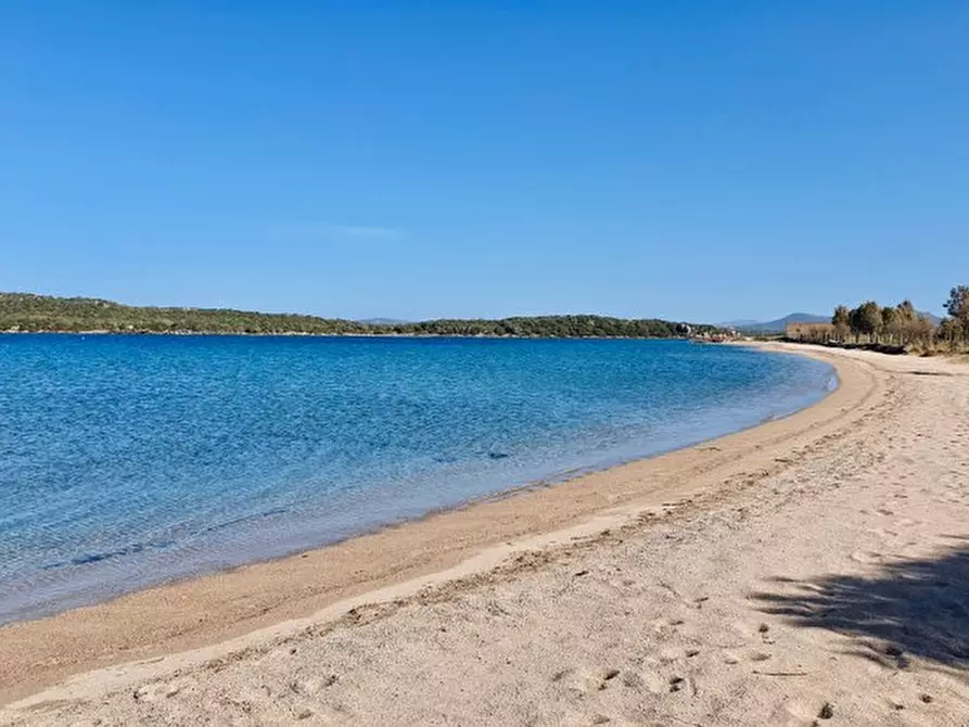Immagine 16 di Appartamento in vendita  in porto pozzo a Santa Teresa Gallura