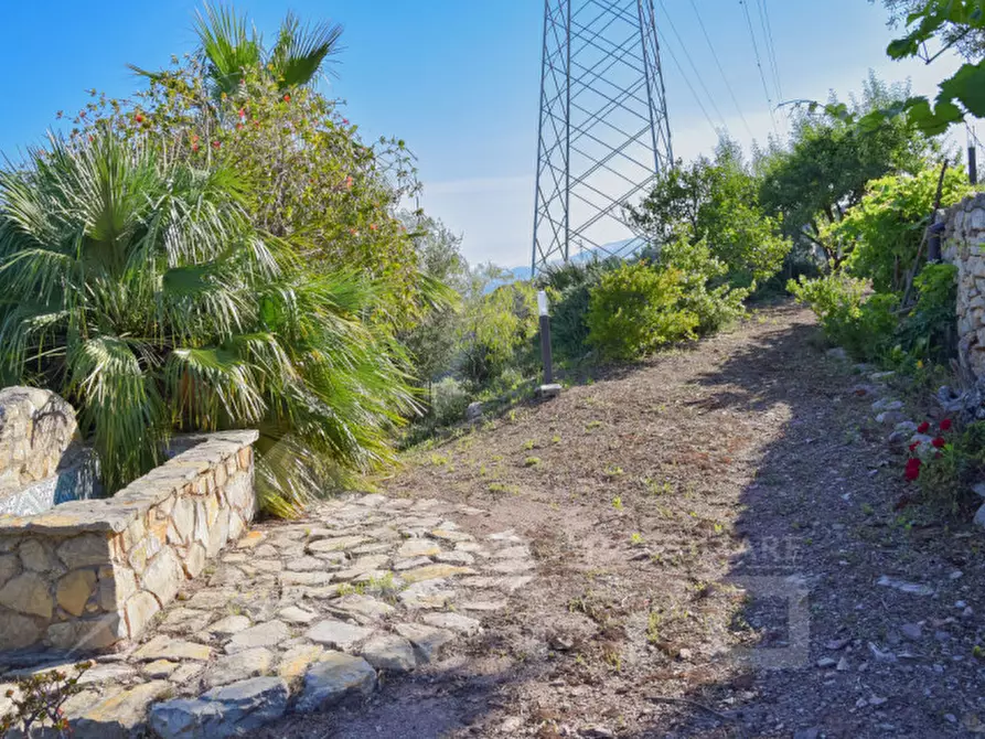 Immagine 18 di Villa in vendita  in contrada serro rizzo a Torrenova