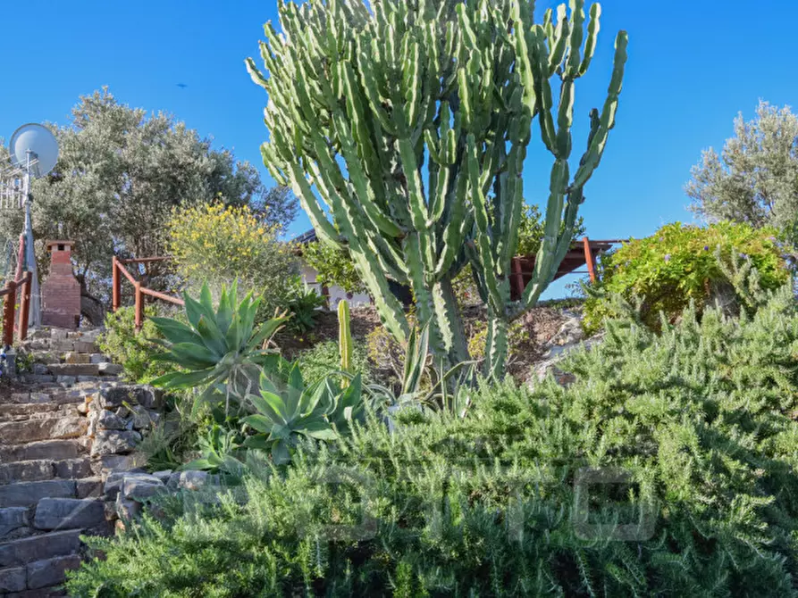 Immagine 19 di Villa in vendita  in contrada serro rizzo a Torrenova