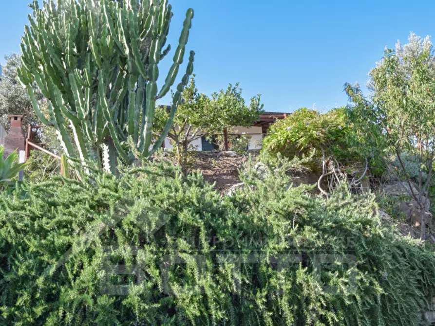 Immagine 20 di Villa in vendita  in contrada serro rizzo a Torrenova