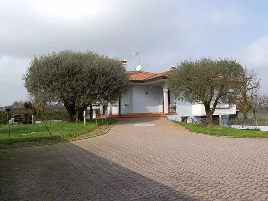 Immagine 2 di Casa indipendente in vendita  a Pianiga